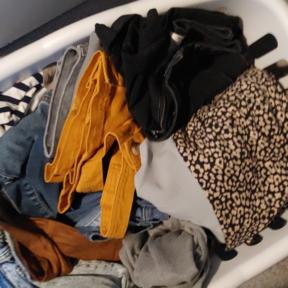 Meet your Posher, Ally - Picture 2 of 2